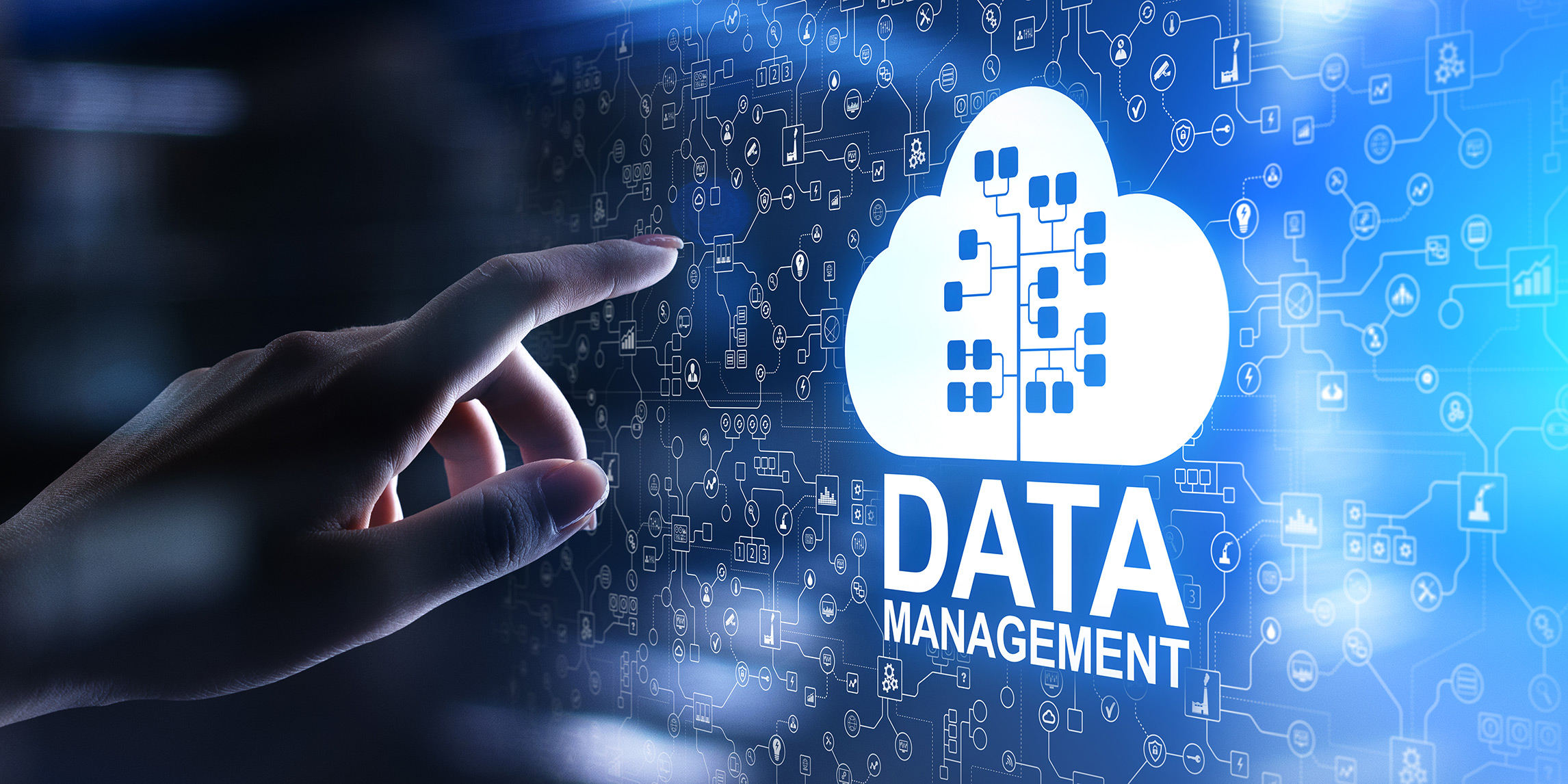 data management 