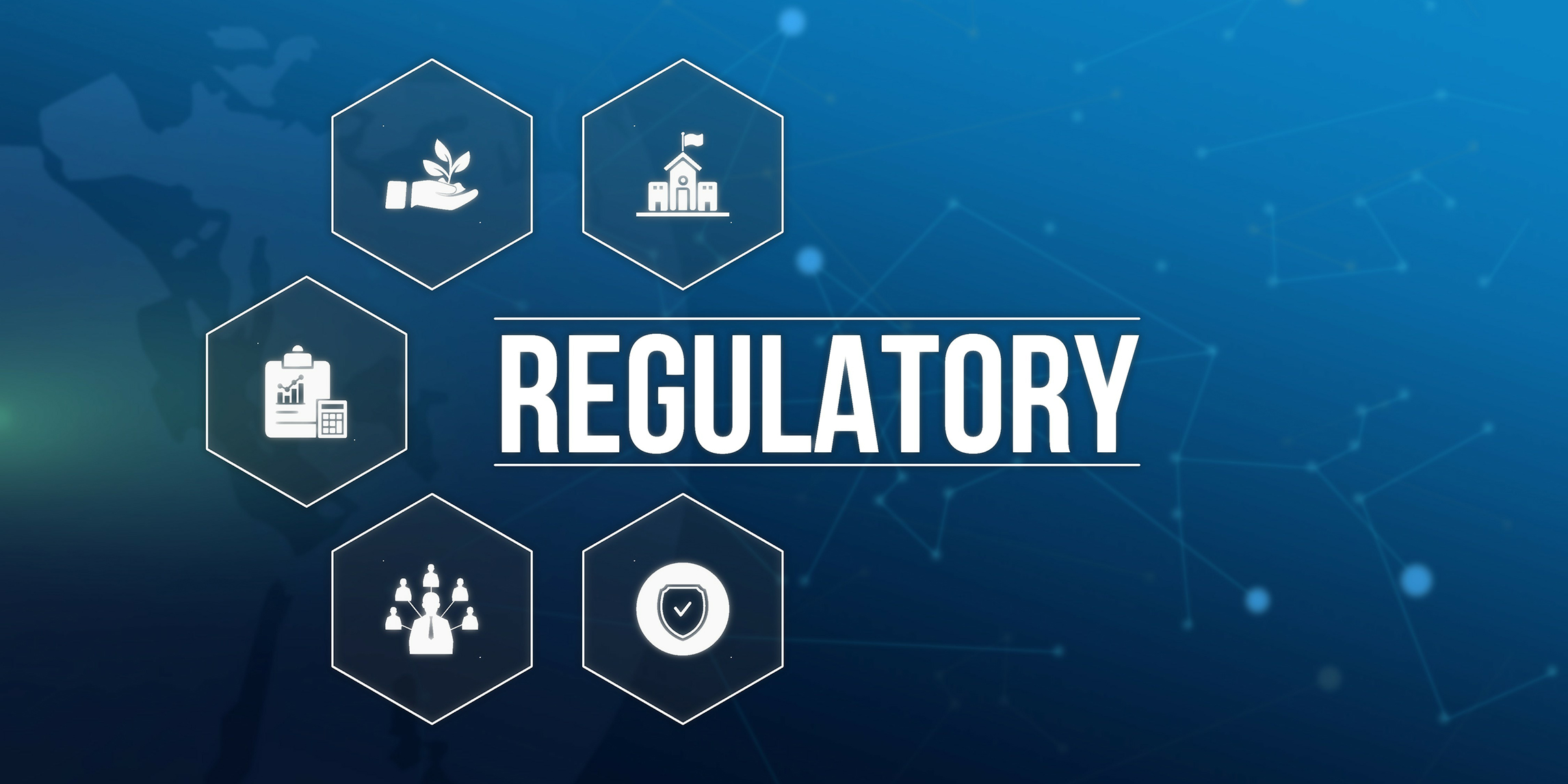 regulatory consulting